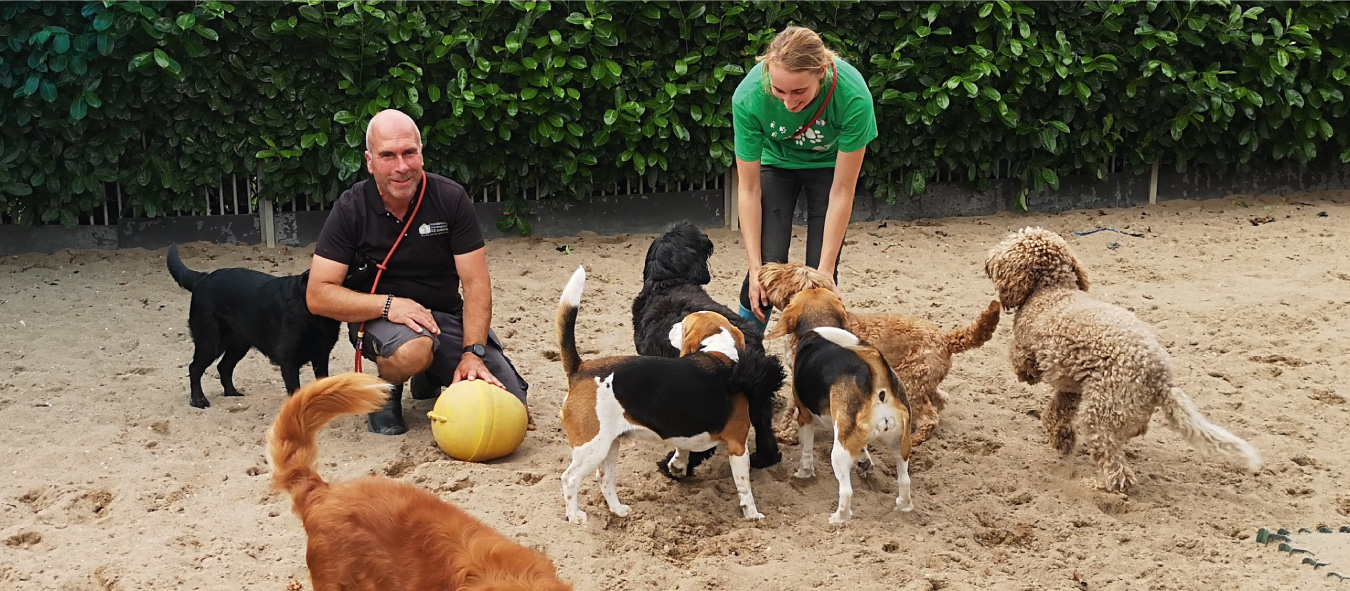 Hondencrèche en Dierenpension A2 Culemborg